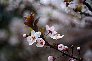 探索冒险游戏《界》steam页面上线 暂不支持中文